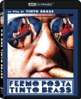 P.O. Box Tinto Brass